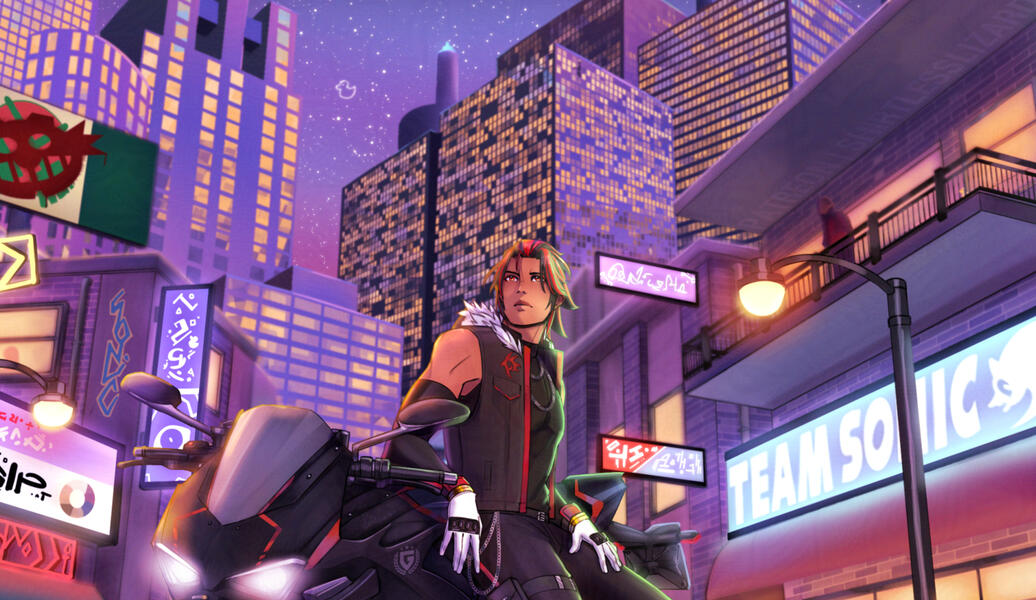 City Project - SHADOW